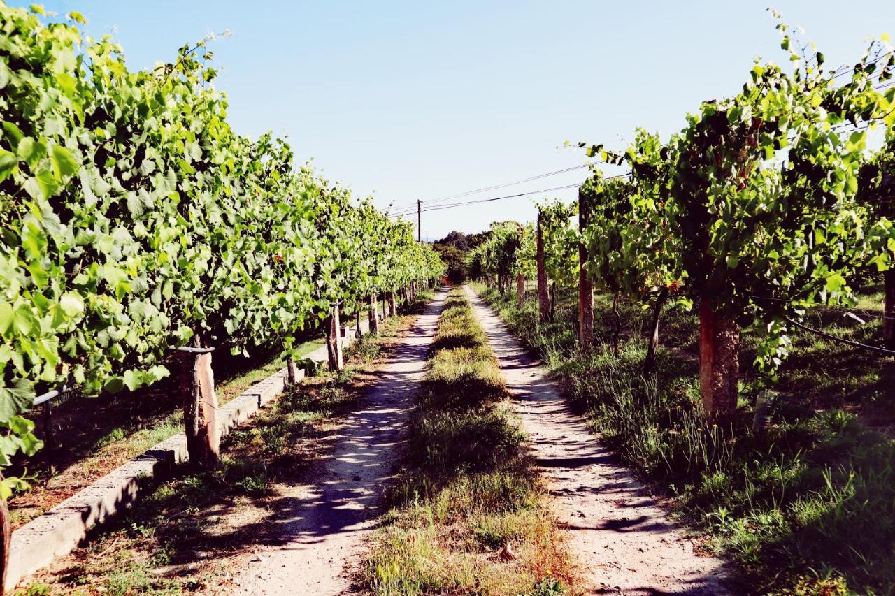 Quinta De Real Villa Valenca Eksteriør billede